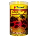 http://www.garnelenshop-bayern.de/media/image/product/2841/sm/xtropical-gammarus-bachflohkrebse.jpg.pagespeed.ic.g0hs6PILhn.jpg