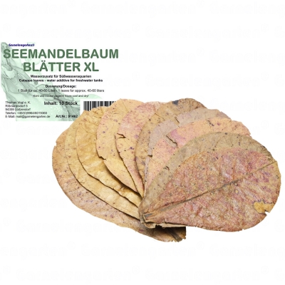 Garnelengarten® Seemandelbaumblätter XL 10 Stück