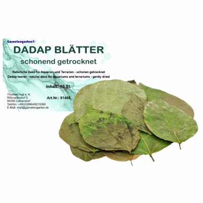 Garnelengarten® Dadap Blätter 10 St.