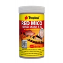 Tropical Red Mico Colour Sticks XXS