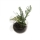 Aqua Della Plant Pot - Pflanzentopf Glas