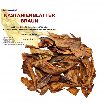 Garnelengarten® Kastanienblätter braun 25 Stück